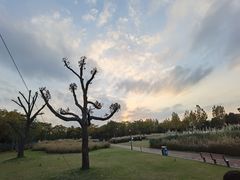 -上海山野camping·户外天幕烧烤·团建拓展营地