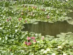 android_upload_pic-文瀛公园