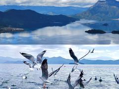 -丽江泸沽湖景区