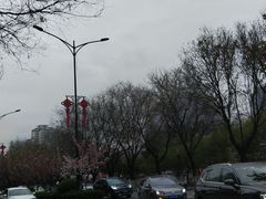 -陕西自然博物馆