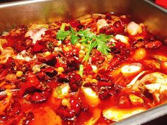 麻辣鱼-舒来喜鱼锅(伊河路店)