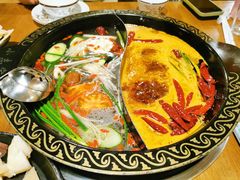 -小志家.鲜牦牛肉牛杂火锅野生菌汤锅