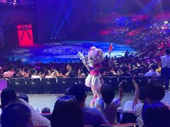 -珠海横琴长隆《卡卡虎奇遇记》