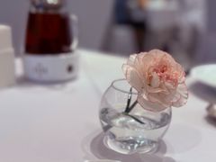 -眉州东坡(国贸店)