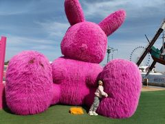 -秦皇岛乐岛海洋王国