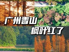 -广州市石门国家森林公园