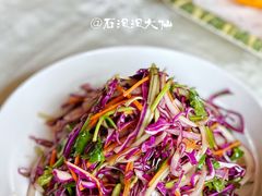-丁老爷子苏香圆