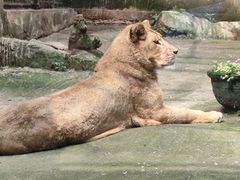 -柳州市动物园