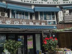 -爱侣宠医·鹦鹉专科·小型哺乳类·异宠专科(灵石路店)