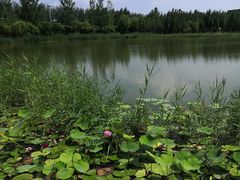 -盘锦红海温泉乐园