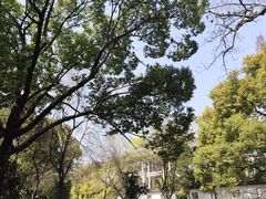 -西园戒幢律寺