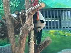 -黔灵山公园