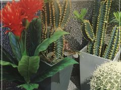 -大河宴椒麻鱼(嘉和园店)