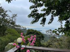 -太平山餐厅(山顶道店)