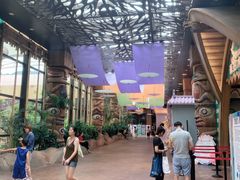 -杭州开元森泊度假乐园