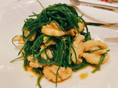 果仁爱沙葱-九十九顶毡房(阜石路店)