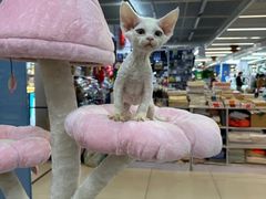 -天丰利生活MALL(和平里店)