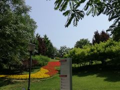 -大望京公园