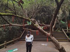 -天目湖山水园
