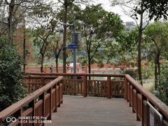 -广东花都湖国家湿地公园