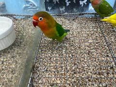 -万达广场(南京江宁店)