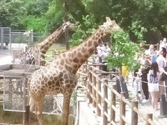 -西安秦岭野生动物园