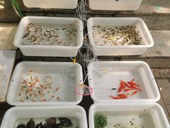 -宝鸡东道花鸟鱼虫市场(吉利花园商场店)