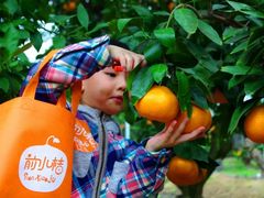 -前小桔亲子创意农场·草莓采摘·露营烧烤