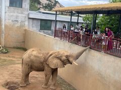 -西霞口神雕山野生动物世界