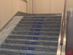 -网鱼电竞酒店(广州会展中心广州塔店)