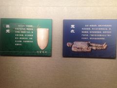 -汉陵苑