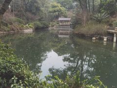 -南山植物园