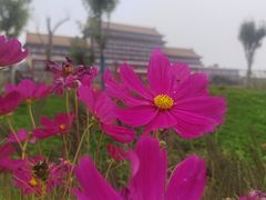 -大明幻境第一城