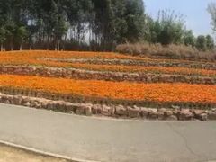 -白鹭湾湿地公园