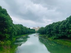 -昆山城市生态森林公园