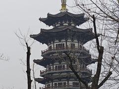 -洋湖国家湿地公园