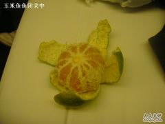 送的桔子-桔子酒店(南京新街口张府园地铁站店)