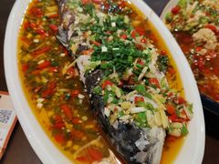 -飞虹鱼馆(春华路店)