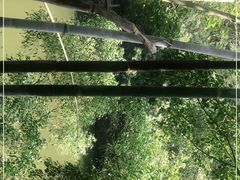 -广东茂名森林公园