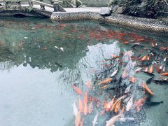 -星巴克臻选(成都宽窄巷子店)