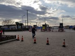 -野生动物园-停车场