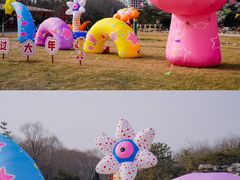 -济南野生动物世界
