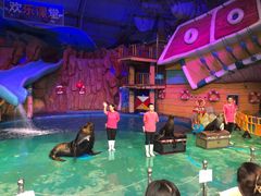 -烟台海昌鲸鲨海洋公园