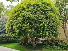 -张江润和国际总部园