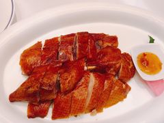 -同庆楼(滨湖万达广场店)