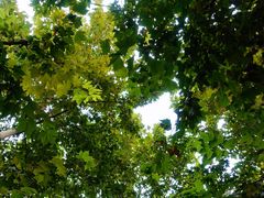 -常熟路(地铁站)