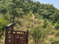 -宝界山林公园