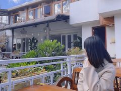 -阿鹏故事云南野生菌火锅(人民路店)