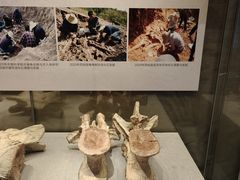 -北京周口店北京人遗址博物馆