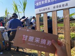 -汉长安城未央宫国家考古遗址公园